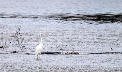 Hochwasser - Nordbayern Hochwasser - Nordbayern