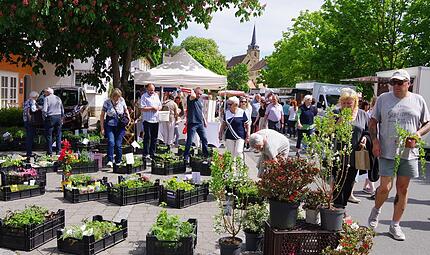 Der Frühjahrs- und Gartenmarkt in Küps zog viele Besucher an. Der Frühjahrs- und Gartenmarkt in Küps zog viele Besucher an.
