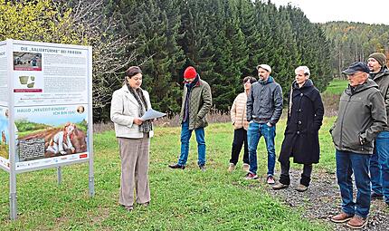 Zwischen Friesen und Gundelsdorf wurden die Fundamente von zwei Saliertürmen entdeckt. Eine Infotafel am Fundort erklärt, wieso das so besonders ist und was sich seit dem Fund getan hat. Daniela Pondelicek Zwischen Friesen und Gundelsdorf wurden die Fundamente von zwei Saliertürmen entdeckt. Eine Infotafel am Fundort erklärt, wieso das so besonders ist und was sich seit dem Fund getan hat. Daniela Pondelicek