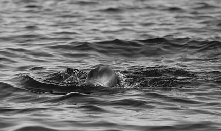 Baiersdorf: Mann stirbt nach Schwimmen in Baggersee Baiersdorf: Mann stirbt nach Schwimmen in Baggersee