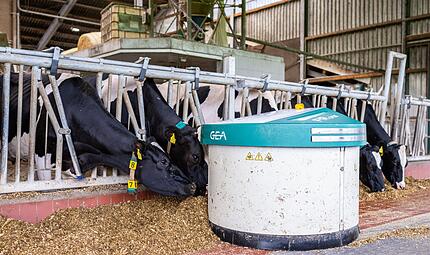 Fütterungsroboter von Gea Fütterungsroboter von Gea