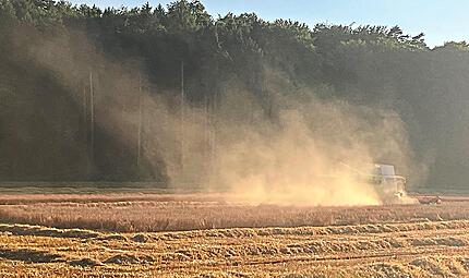 Auf den Getreidefeldern bleibt das Abernten eine staubige Angelegenheit.Forchheim & Fränkische Schweiz Auf den Getreidefeldern bleibt das Abernten eine staubige Angelegenheit.Forchheim & Fränkische Schweiz