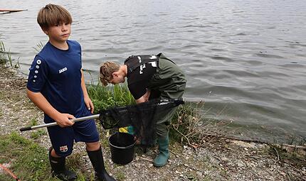 Henry Scherm und Gabriel Rochholz vom Fischereiverein Kulmbach haben die Aufgabe, die toten Fische aufzusammeln. Beide Jugendliche sind geschockt über die Vielzahl. Henry Scherm und Gabriel Rochholz vom Fischereiverein Kulmbach haben die Aufgabe, die toten Fische aufzusammeln. Beide Jugendliche sind geschockt über die Vielzahl.
