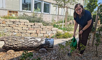 Kreisfachberaterin Anna Lena Ostermeier gießt die frisch gepflanzten Beerensträucher im Gärtla des Kulmbacher Landratsamts. Kreisfachberaterin Anna Lena Ostermeier gießt die frisch gepflanzten Beerensträucher im Gärtla des Kulmbacher Landratsamts.
