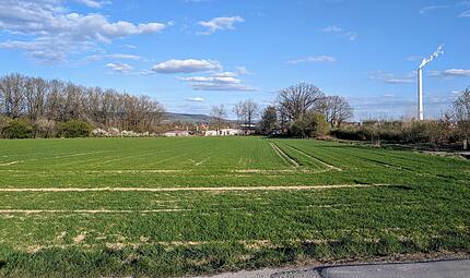 Unter anderem auf dieser Fläche am Regnitzwehr sollen sich bald Unternehmen niederlassen.Forchheim & Fränkische Schweiz Unter anderem auf dieser Fläche am Regnitzwehr sollen sich bald Unternehmen niederlassen.Forchheim & Fränkische Schweiz