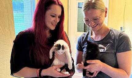 Tierheim Vereinsvorsitzende Lisa Weber (links) und Tierheim-Leiterin Melanie Pavelka freuen sich über die Katzenbabys, die im Tierheim Oberndorf gesund und sicher zur Welt kamen.
