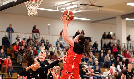 Da BasketsBbg gg Dillingen 140226 01 Tweedie Da BasketsBbg gg Dillingen 140226 01 Tweedie