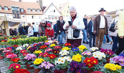 Verkaufsoffener Sonntag KUSo schön war der verkaufsoffene Sonntag in Kulmbach Verkaufsoffener Sonntag KUSo schön war der verkaufsoffene Sonntag in Kulmbach
