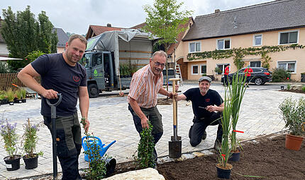 Begrünung Dorfplatz OberehrenbachForchheim & Fränkische Schweiz Begrünung Dorfplatz OberehrenbachForchheim & Fränkische Schweiz