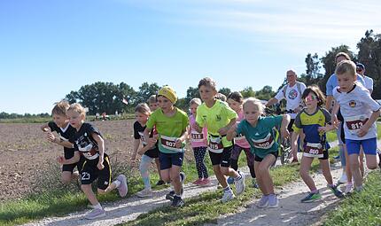 Auf die Plätze, fertig, los: Der Start der Jüngsten beim U8-Lauf Auf die Plätze, fertig, los: Der Start der Jüngsten beim U8-Lauf