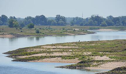 Niedrigwasser in der Elbe Niedrigwasser in der Elbe