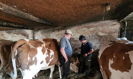Karola und Willibald Wehner geben ihre Milchviehhaltung auf. Mit ihnen verschwinden die letzten Milchkühe aus Zahlbach. Karola und Willibald Wehner geben ihre Milchviehhaltung auf. Mit ihnen verschwinden die letzten Milchkühe aus Zahlbach.