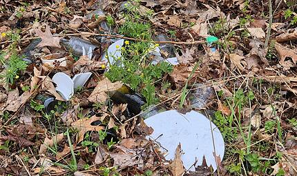 Illegale Müllentsorgung Illegale Müllentsorgung