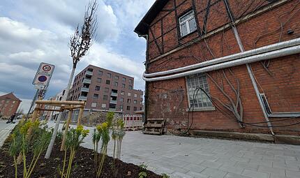 Kosmos Ost Bamberg Kosmos Ost Bamberg