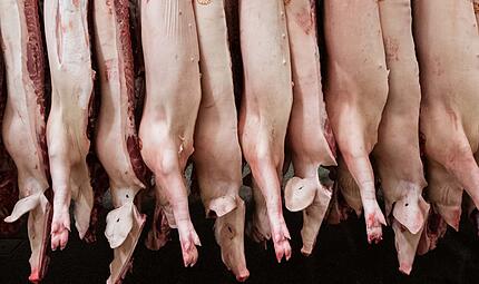 Fleischindustrie Fleischindustrie