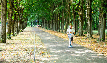 Baille-Maille-Allee Himmelkron Baille-Maille-Allee Himmelkron