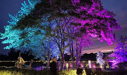 Teuschnitz: Kräutergarten leuchtetDer Kräutergarten Teuschnitz wird zum Lichtermeer Teuschnitz: Kräutergarten leuchtetDer Kräutergarten Teuschnitz wird zum Lichtermeer