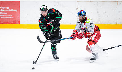 Vincent Jiranek (li.) ist künftig nicht mehr für die Höchstadt Alligators am Puck. Vincent Jiranek (li.) ist künftig nicht mehr für die Höchstadt Alligators am Puck.