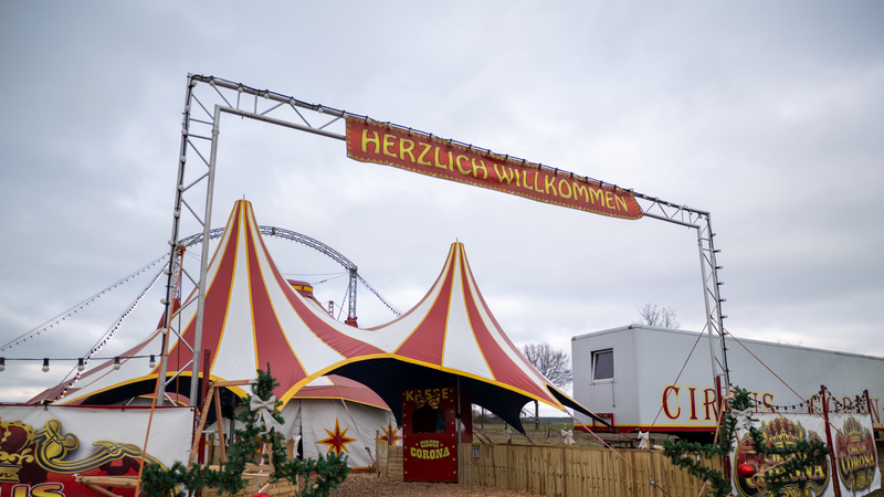 Zirkus Corona Herzogenaurach Weil unbekannte Personen am Sonntag, 21. Dezember, während der Vorstellungszeit die Pferdeboxen öffneten, gelangte ein Pferd des Zirkus Corona auf die Umgehungsstraße bei Herzogenaurach und stieß dort mit einem Auto zusammen. Bei dem Unfall wurde niemand verletzt.