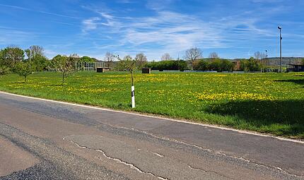 Auf dieser grünen Wiese – im Hintergrund das Sportgelände und im Vordergrund die Staatsstraße – soll das neue Feuerwehrhaus in Kunreuth gebaut werden.Forchheim & Fränkische Schweiz Auf dieser grünen Wiese – im Hintergrund das Sportgelände und im Vordergrund die Staatsstraße – soll das neue Feuerwehrhaus in Kunreuth gebaut werden.