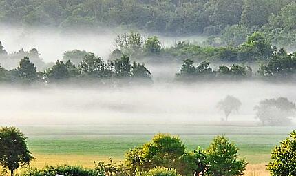 Bodennebel in der Region gehört zu den ersten Herbstanzeichen. Christian König Bodennebel in der Region gehört zu den ersten Herbstanzeichen. Christian König