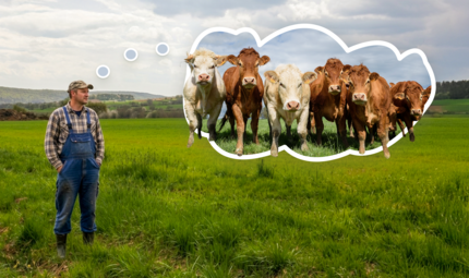 Auf einer Wiese nahe dem Grüngutplatz zwischen Frankenbrunn, Thulba und Reith möchte ein Landwirt einen Bio-Bullenmaststall errichten. Auf einer Wiese nahe dem Grüngutplatz zwischen Frankenbrunn, Thulba und Reith möchte ein Landwirt einen Bio-Bullenmaststall errichten.