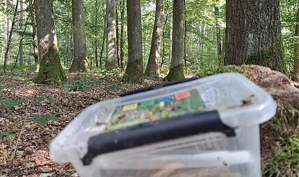 So sieht ein gefundener Geocache irgendwo in Franken aus. Wir gehen der frage nach, ob diese Schatzsuche Sport ist. So sieht ein gefundener Geocache irgendwo in Franken aus. Wir gehen der frage nach, ob diese Schatzsuche Sport ist.