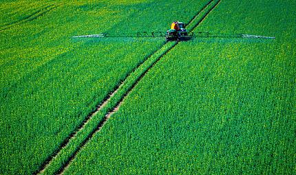 Pflanzenschutz auf Rapsfeld Pflanzenschutz auf Rapsfeld
