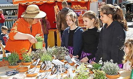 Coburg blüht auf: Eröffnung Ernstplatz mit OB Sauerteig Coburg blüht auf: Eröffnung Ernstplatz mit OB Sauerteig